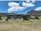 321 Milbrodale Road, Broke NSW 2330