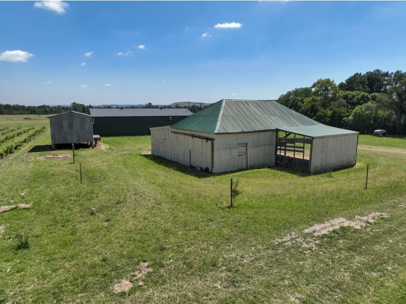 321 Milbrodale Road, Broke NSW 2330