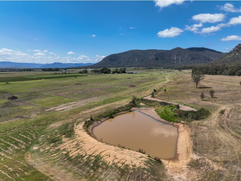 321 Milbrodale Road, Broke NSW 2330