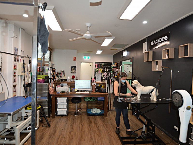 19/21 Ryan Avenue, Singleton NSW 2330