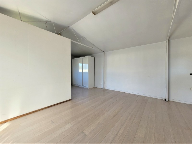 16 Pelerin Avenue, Singleton NSW 2330