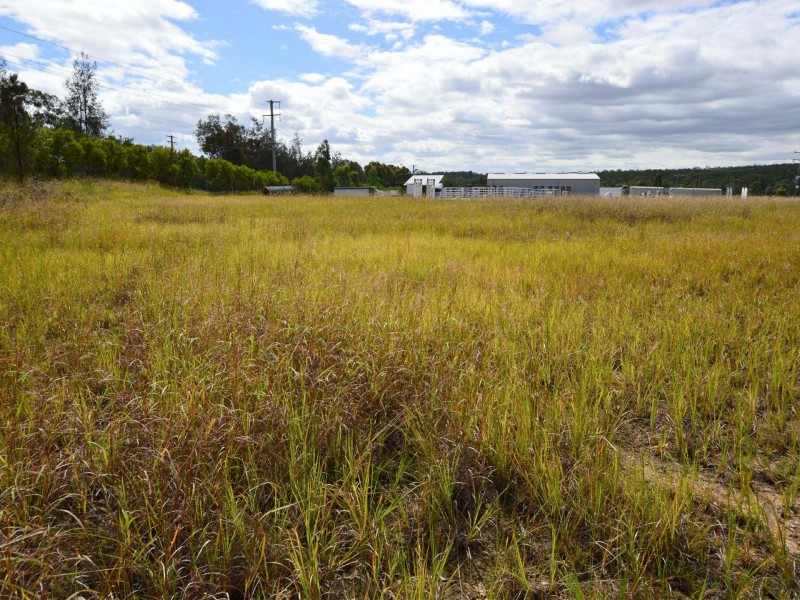 54 Enterprise Crescent, Singleton NSW 2330