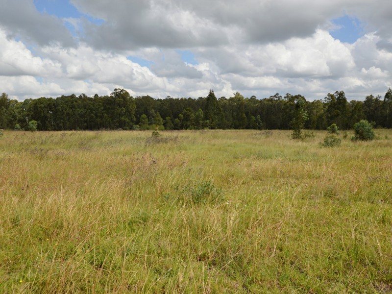 11 Rosedale Close, Singleton NSW 2330