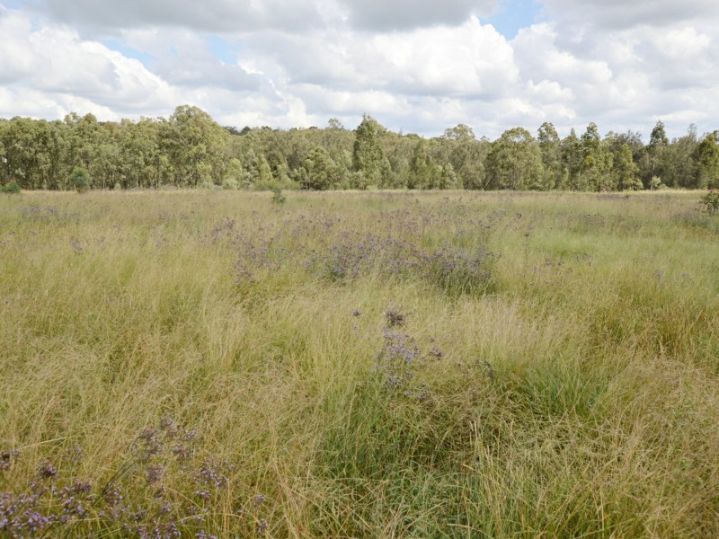 11 Rosedale Close, Singleton NSW 2330