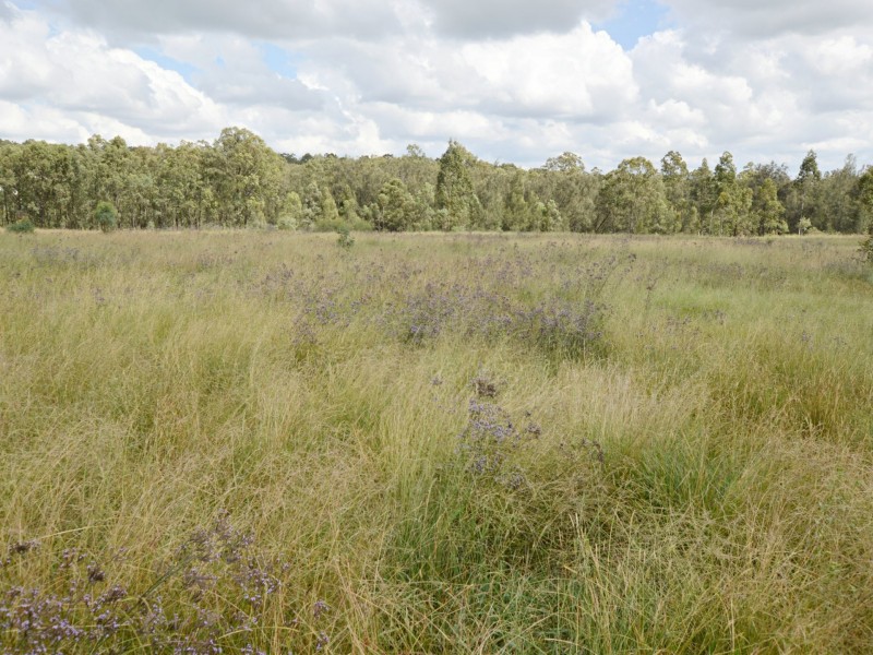 11 Rosedale Close, Singleton NSW 2330