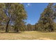 98A Wollemi Peak Road, Bulga NSW 2330