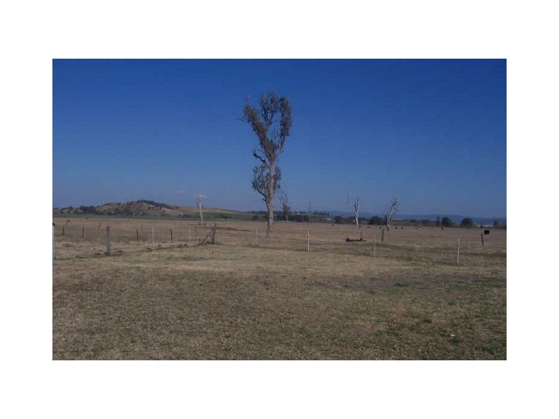 286 Long Point Road, Singleton NSW 2330