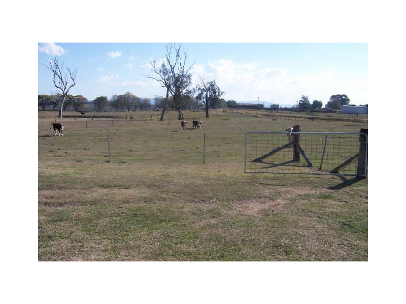 286 Long Point Road, Singleton NSW 2330