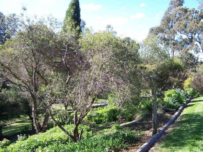 14 O’Halloran Avenue, Singleton NSW 2330