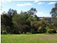 14 O’Halloran Avenue, Singleton NSW 2330