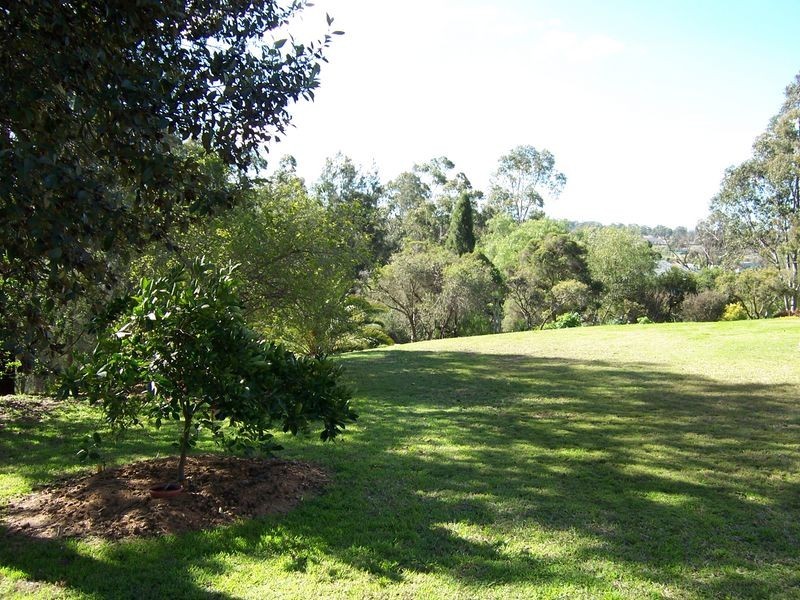 14 O’Halloran Avenue, Singleton NSW 2330