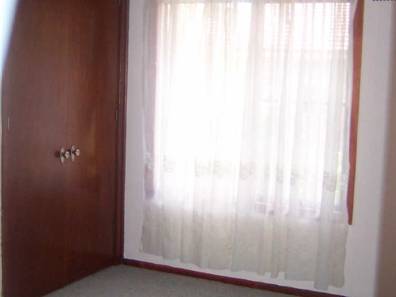 7 Waterhouse Avenue, Singleton NSW 2330