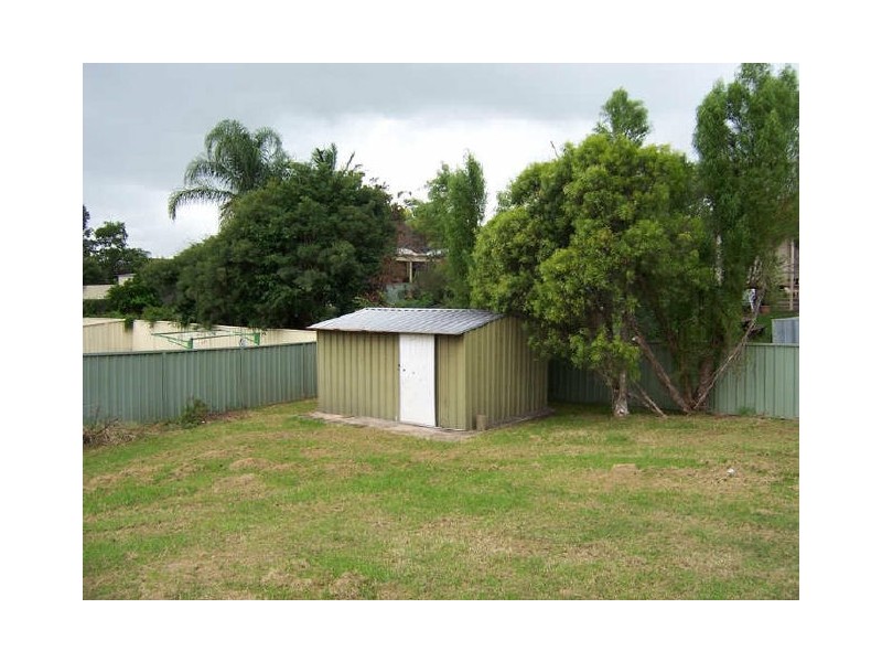 Singleton NSW 2330