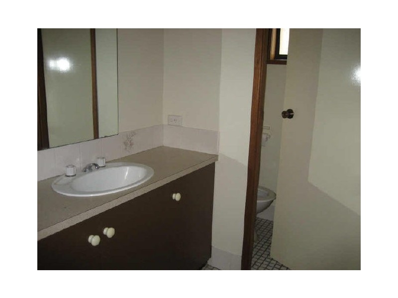 6 Forest Avenue, Singleton NSW 2330