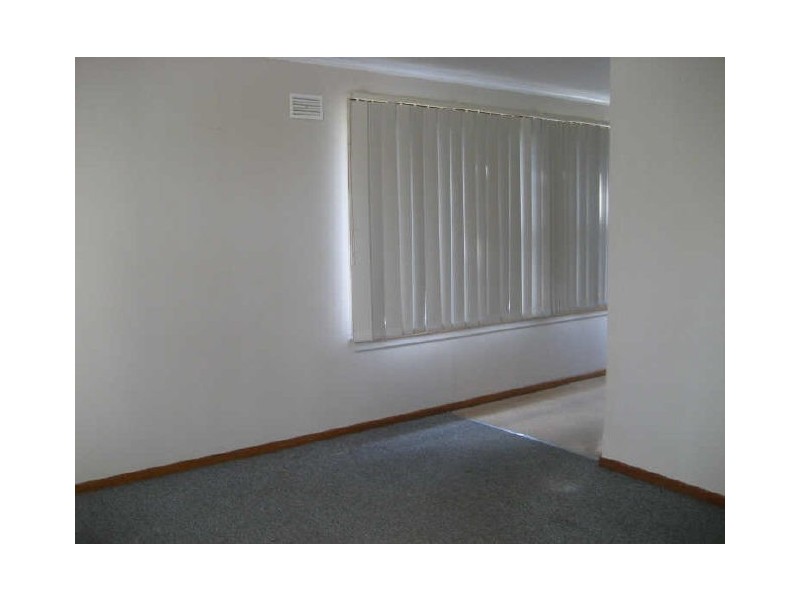 42 White Ave, Singleton NSW 2330