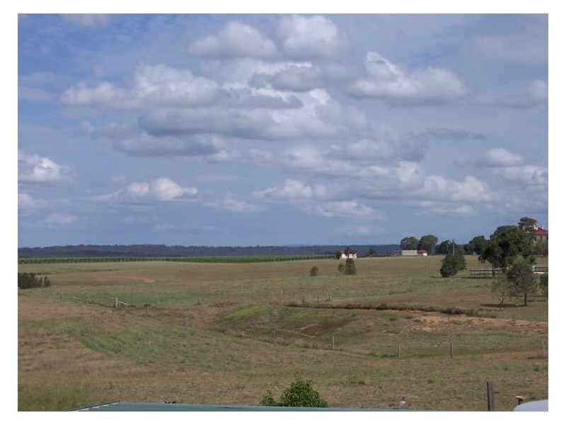 99 Minimbah Road, Singleton NSW 2330