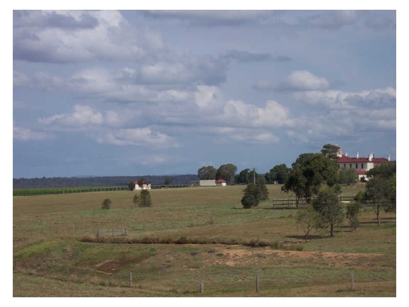 99 Minimbah Road, Singleton NSW 2330