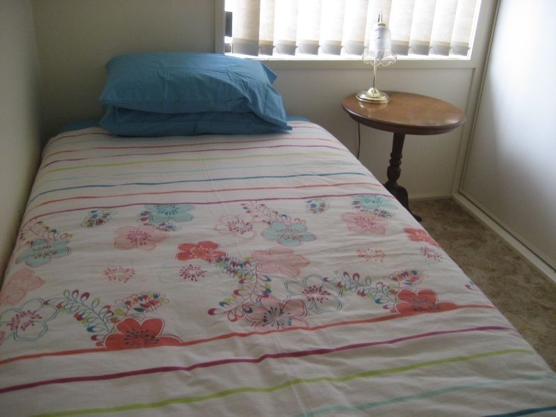 39 Ada Street, Singleton NSW 2330