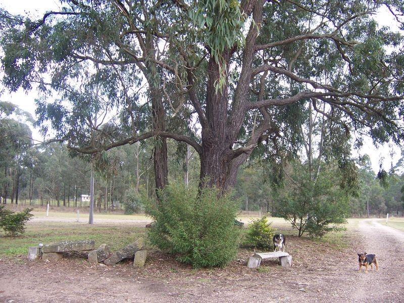 1463 Elderslie Road, Singleton NSW 2330