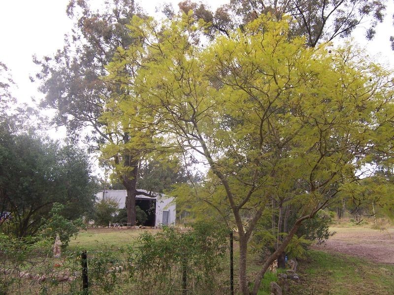 1463 Elderslie Road, Singleton NSW 2330