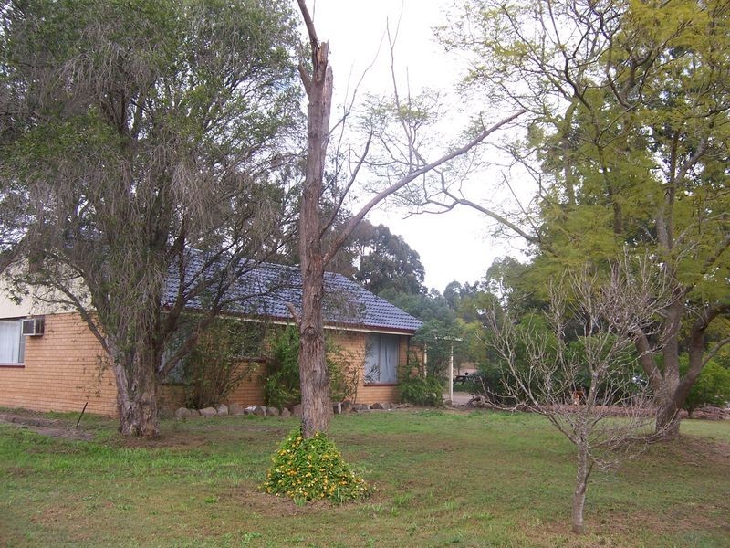 1463 Elderslie Road, Singleton NSW 2330