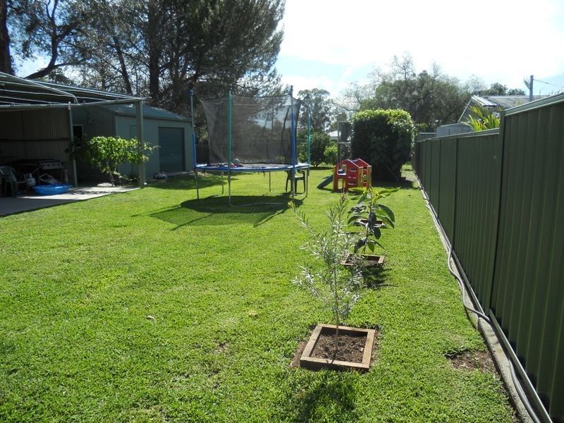 19 Boonal Street, Singleton NSW 2330