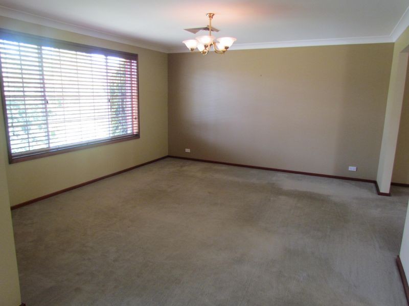 31 Cranston Avenue, Singleton NSW 2330