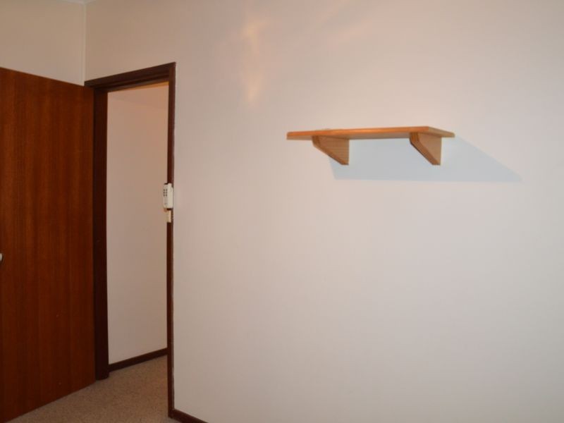 8 Dalton Avenue, Singleton NSW 2330