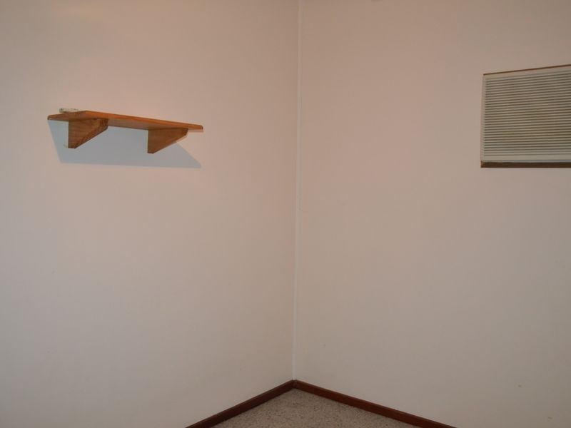 8 Dalton Avenue, Singleton NSW 2330