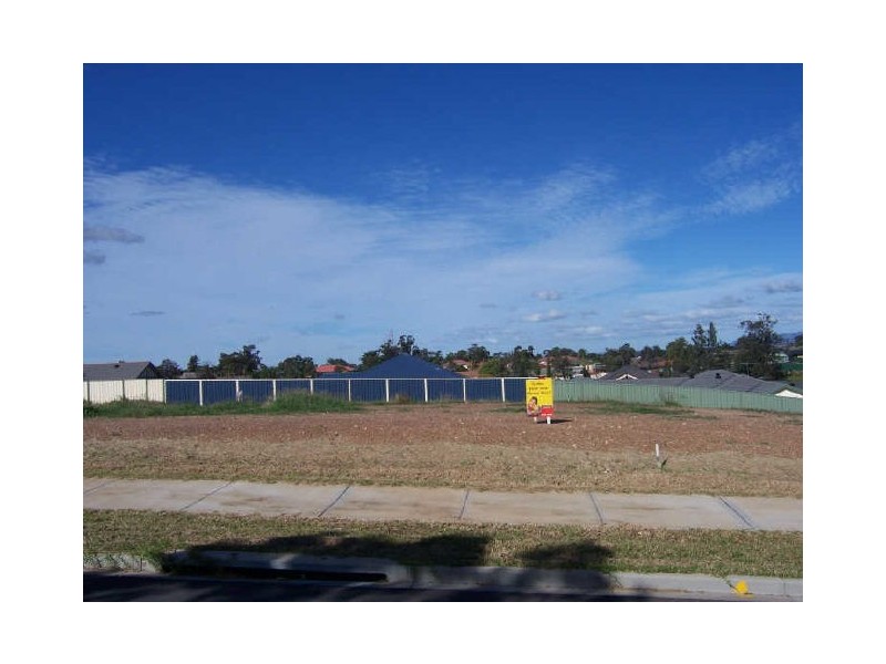Singleton NSW 2330