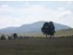Singleton NSW 2330