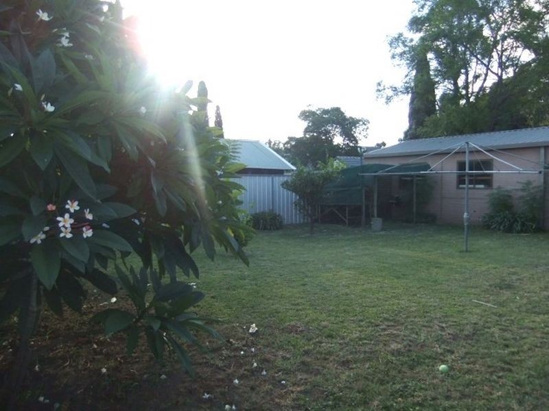 7 Boonal Street, Singleton NSW 2330