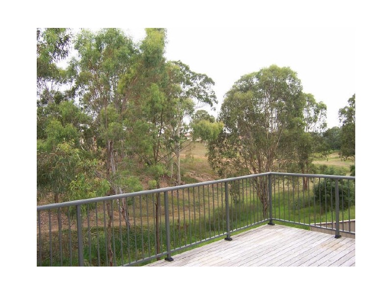 Singleton NSW 2330