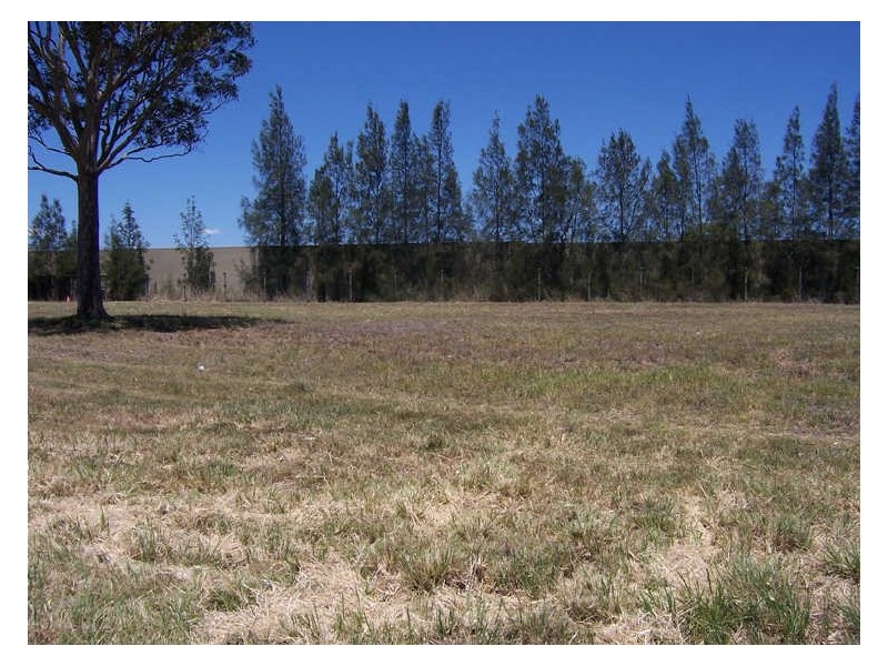 Lot 350 Allen Court, Singleton NSW 2330