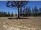 Lot 350 Allen Court, Singleton NSW 2330