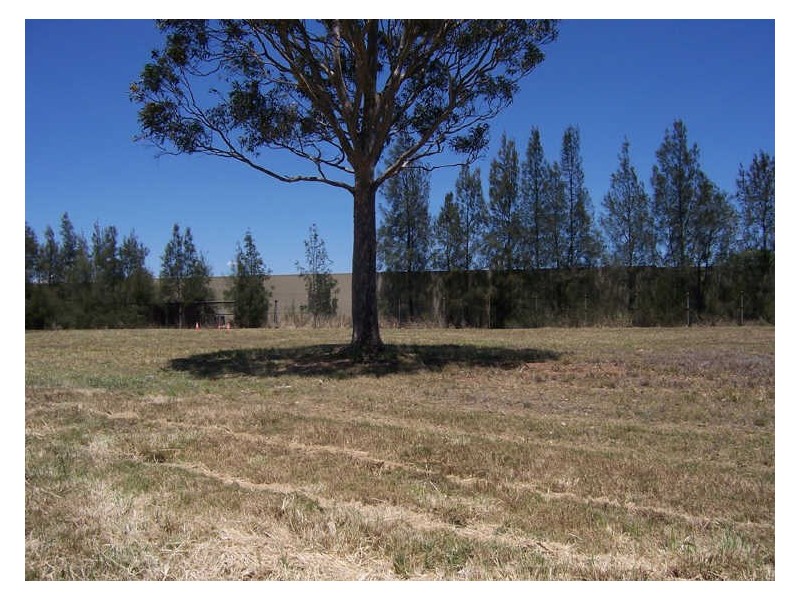Lot 351 Allen Court, Singleton NSW 2330
