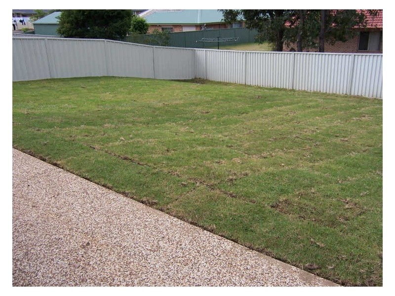 84 Wattle Ponds Road, Singleton NSW 2330