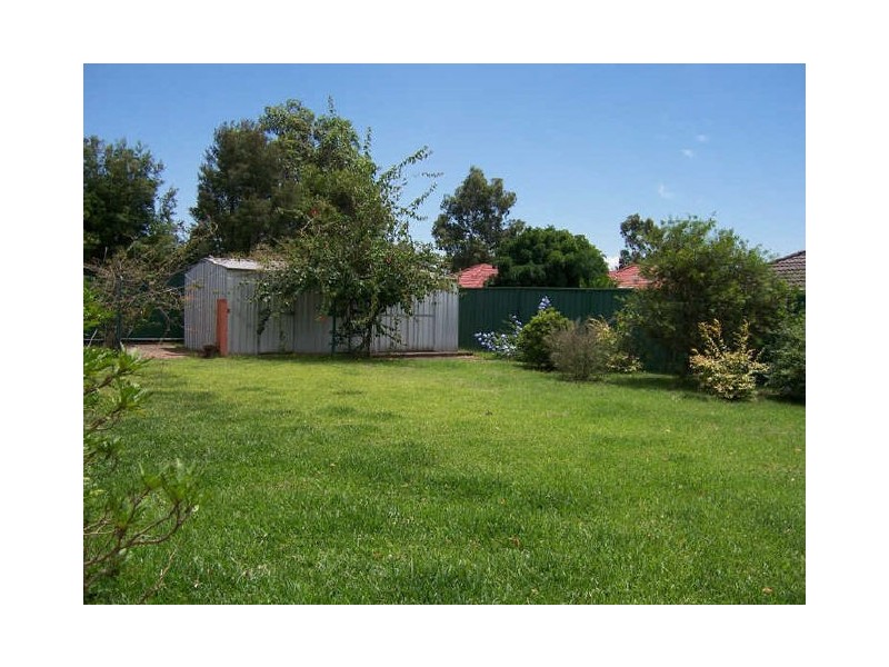 Singleton NSW 2330