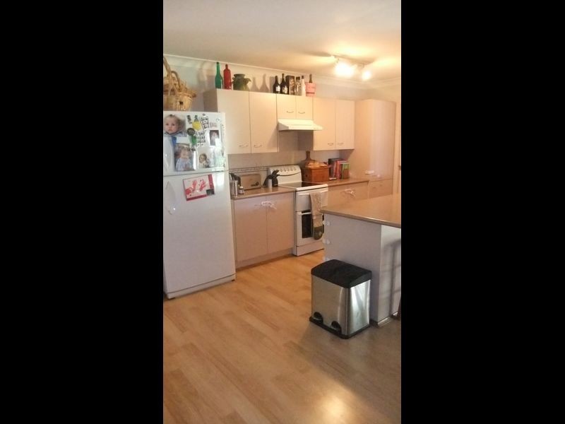 46 Robinson Way, Singleton NSW 2330