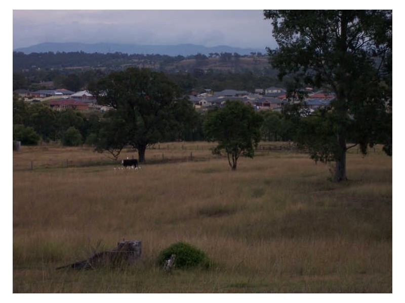 Lot 12 Pioneer Road, Singleton NSW 2330