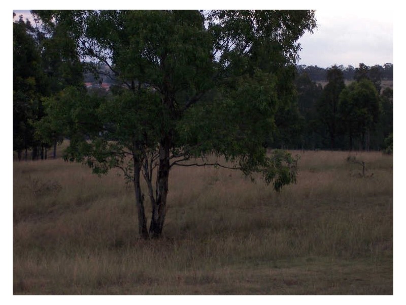 Lot 12 Pioneer Road, Singleton NSW 2330