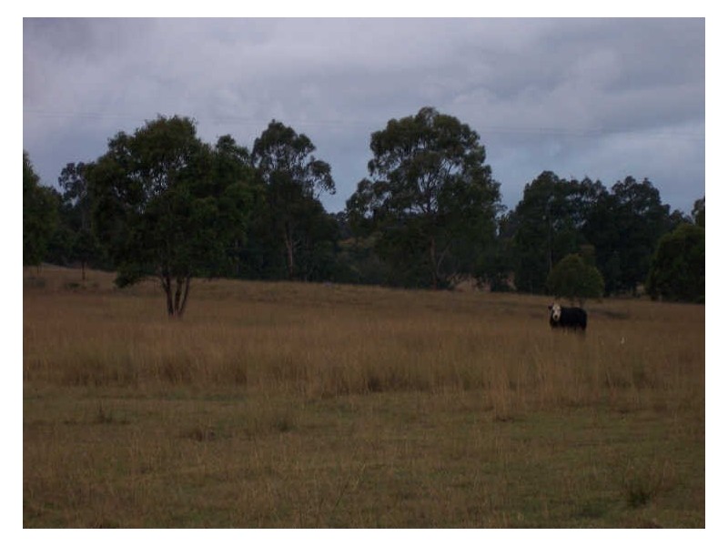 Lot 12 Pioneer Road, Singleton NSW 2330