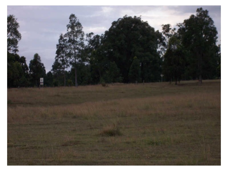 Lot 12 Pioneer Road, Singleton NSW 2330