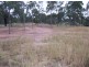Lot 12 Pioneer Road, Singleton NSW 2330