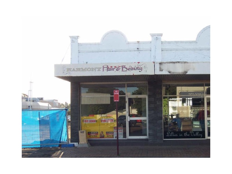 82 John Street, Singleton NSW 2330