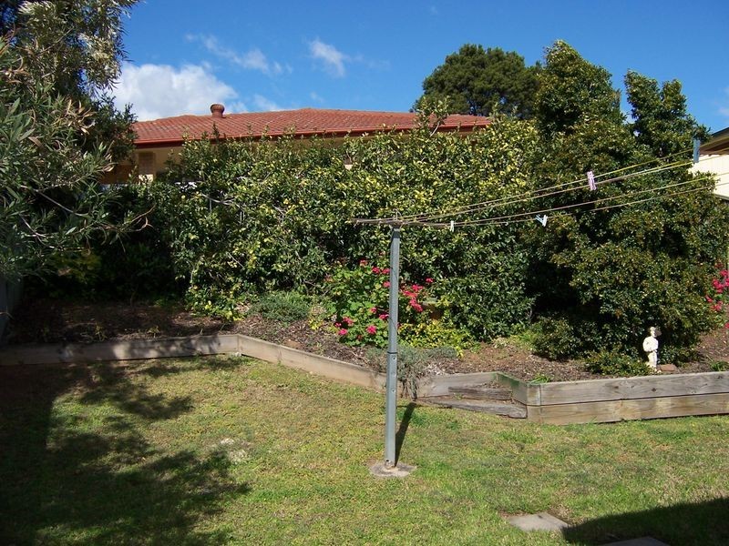 4A Gibson Close, Singleton NSW 2330