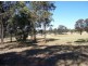 Singleton NSW 2330