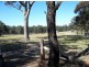Singleton NSW 2330