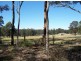 Singleton NSW 2330