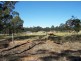 Singleton NSW 2330